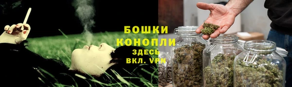 экстази Бородино