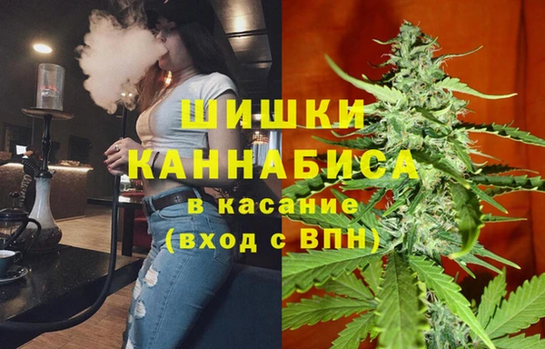 экстази Бородино