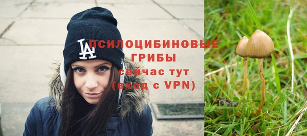 экстази Бородино