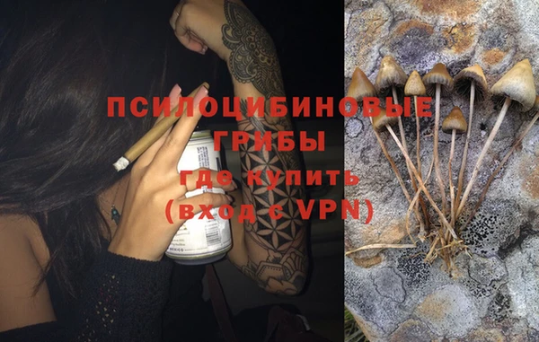 гидра Бугульма
